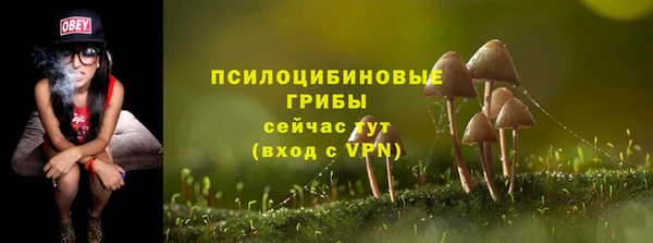 первитин Вязьма